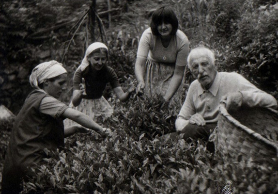 Beyhan (2.v.l.) mit Schwägerin, Schwester und Vater bei der Teeernte in Hopa, 1970er Jahre.