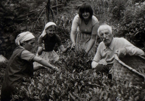 Beyhan (2.v.l.) mit Schwägerin, Schwester und Vater bei der Teeernte in Hopa, 1970er Jahre.